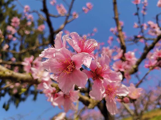 宁波.jpg 宁波.jpg