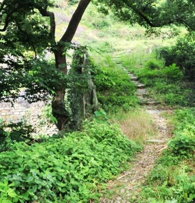 四版之二.jpg 四版之二.jpg