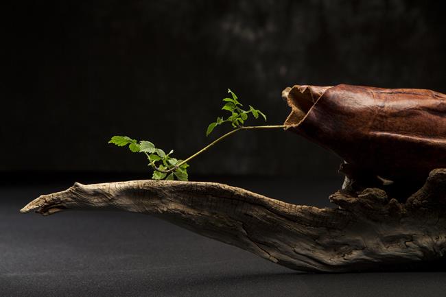 16c555a39cde27b46bb4a1d8e929236.jpg 16c555a39cde27b46bb4a1d8e929236.jpg