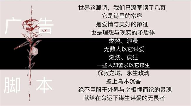 DM_20230626121237_022.jpg DM_20230626121237_022.jpg